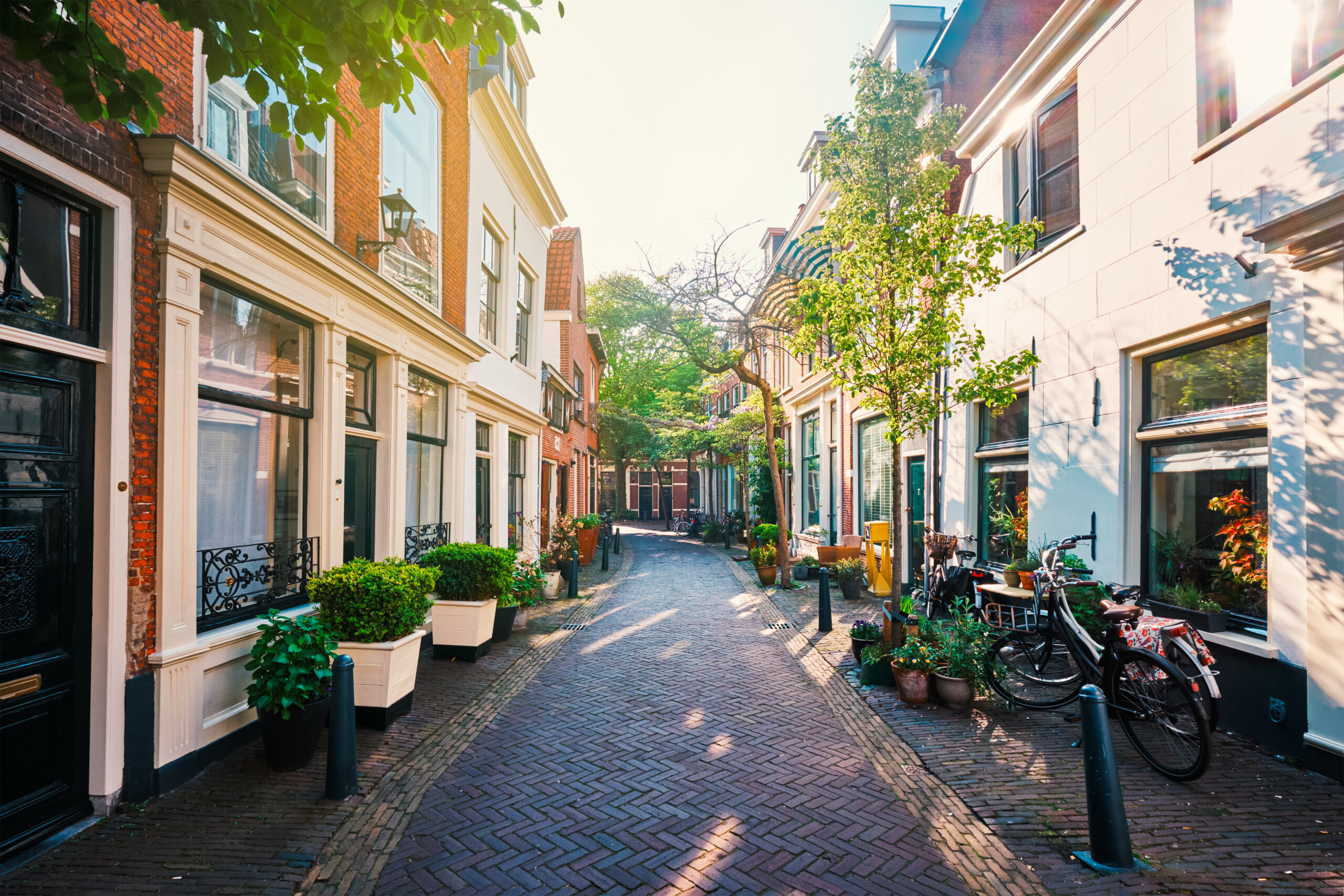 Street with old houses in Haarlem, Netherlands